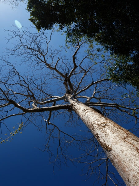 10 Things you didn't know about Madagascar