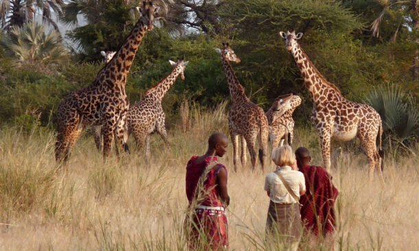Awaken Your Senses in Tanzania and Rwanda