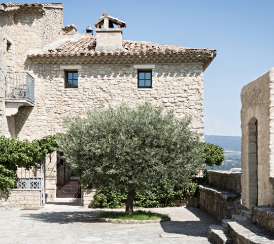 crillon-le-brave-vineyard-france