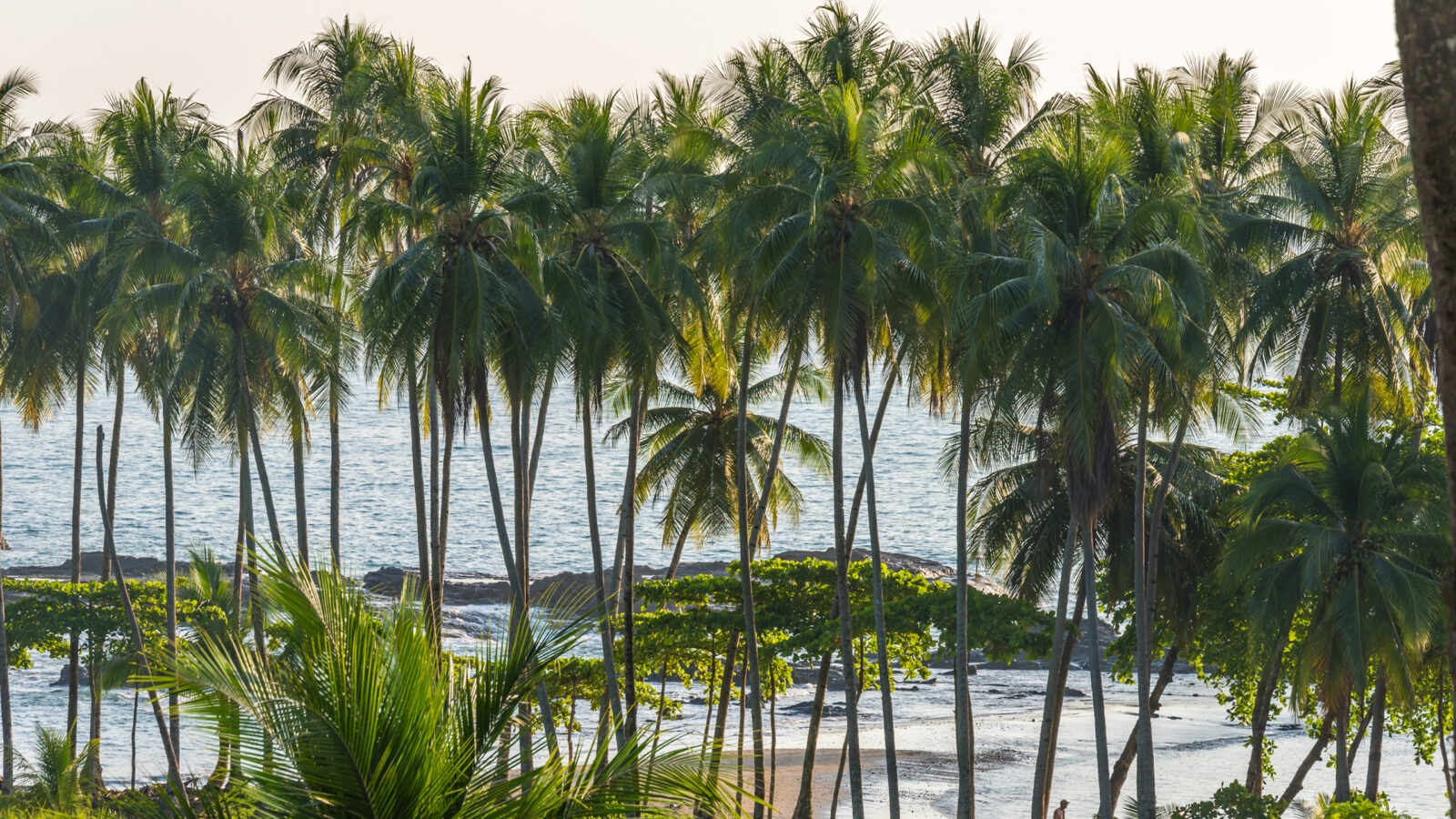 Playa Hermosa, Pacific Coast, Costa Rica.