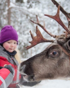 A Family Escape to Finnish Lapland