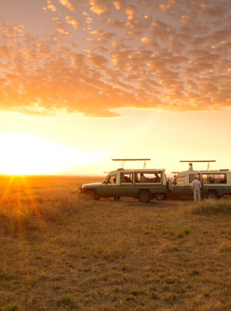Safari Concessions, Conservancies and National Parks
