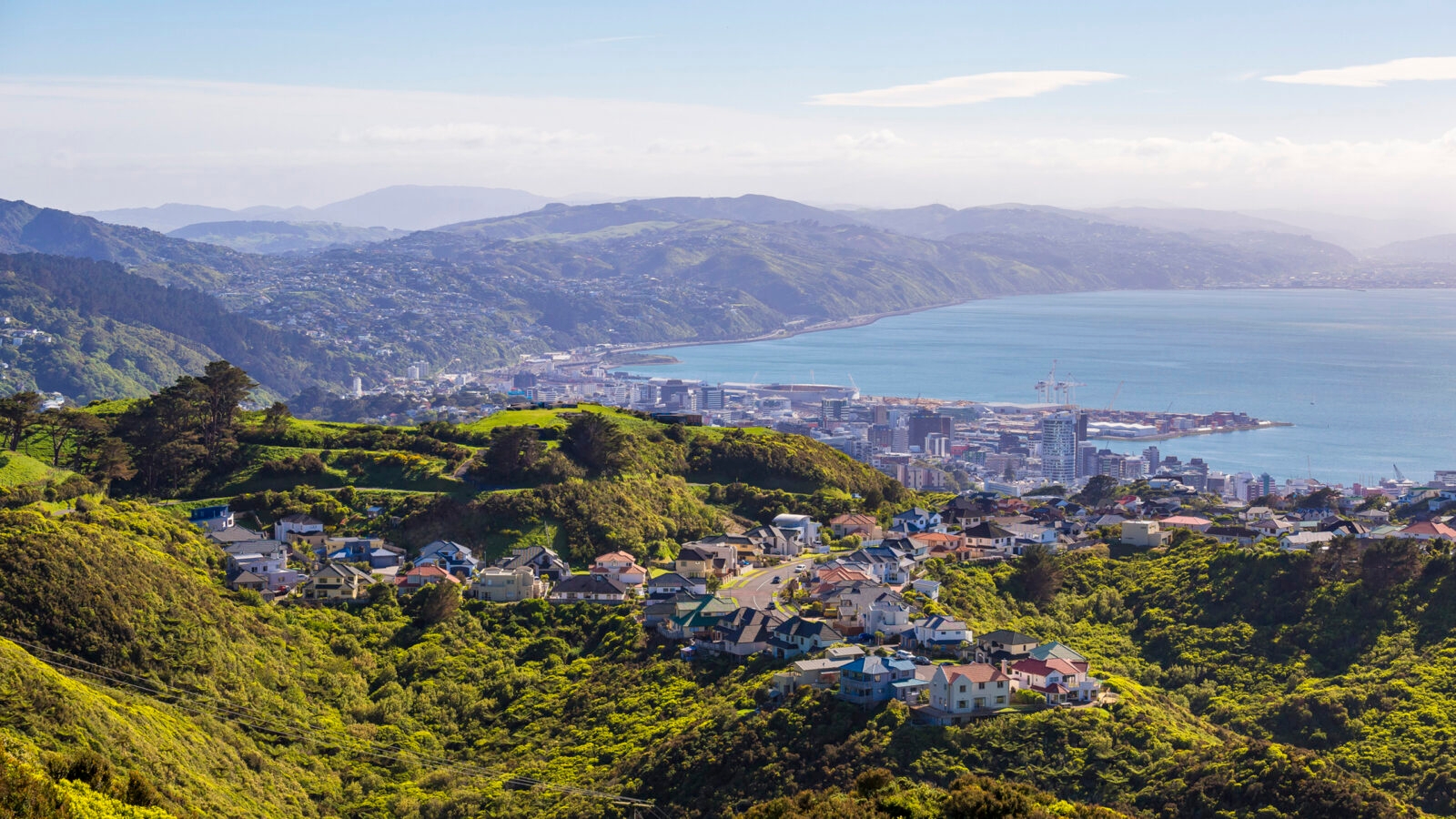 Oriental Bay in Wellington North Island New Zealand