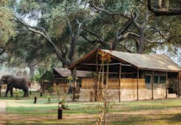 Time and Tide Chongwe River Camp