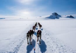 A Luxury Arctic Exploration