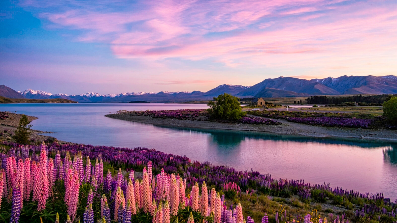 Lake Tekapo At Dawn, New Zealand South Island