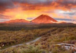 Epic New Zealand Hiking