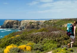 An Active Discovery of Portugal