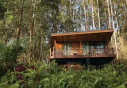 One&Only Gorilla’s Nest