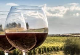 Luxury Argentina and Chile Gourmet Tour