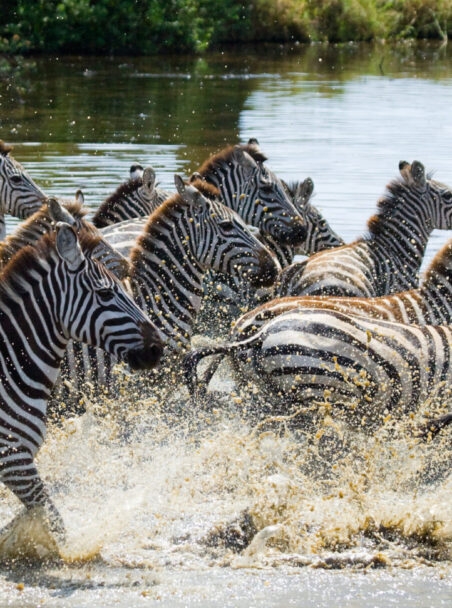 The Best 17 Things to do in Tanzania
