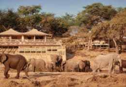 Savute Elephant Lodge