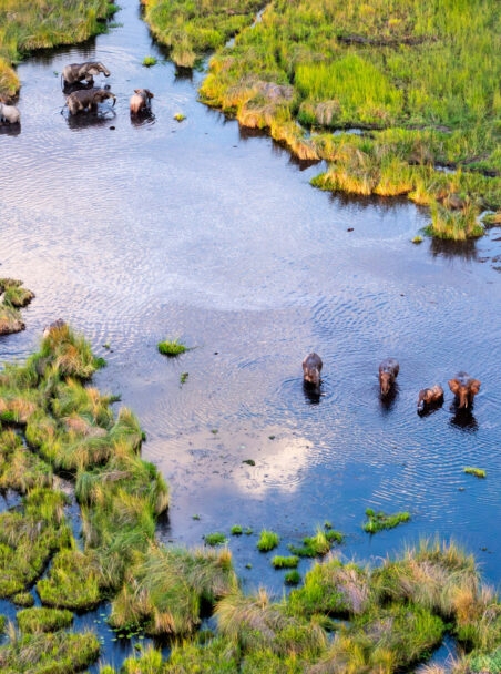 First-Time Safari Guide: Everything You Need to Know