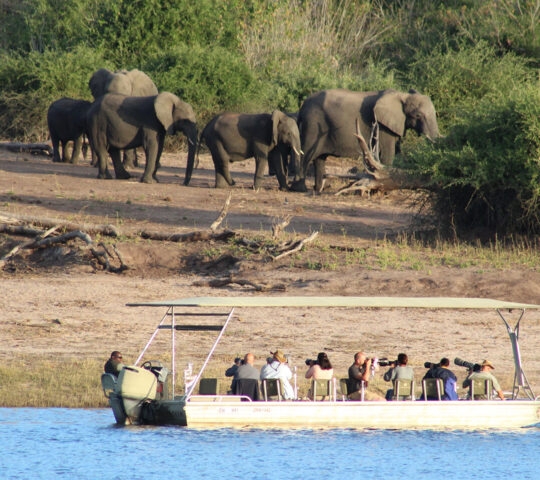 Safari explorers on a boat observing elephants in Hwange National Park, Zimbabwe