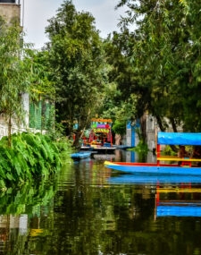 Family Adventure in Mexico