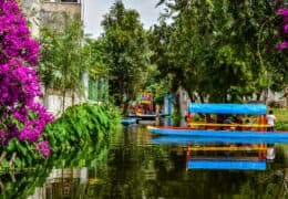 Family Adventure in Mexico