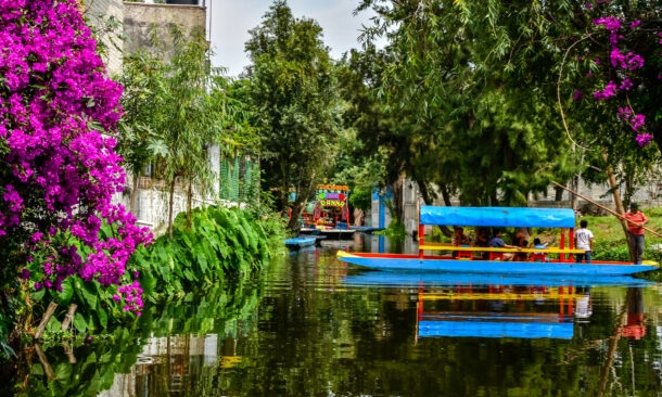 Family Adventure in Mexico