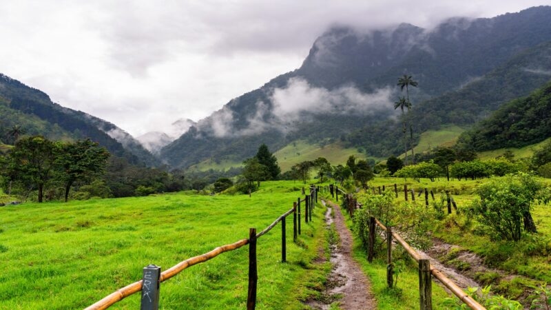 Coffee region colombia