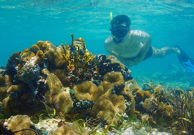 Luxury Costa Rica tours - Man underwater snorkeling and looks sea life