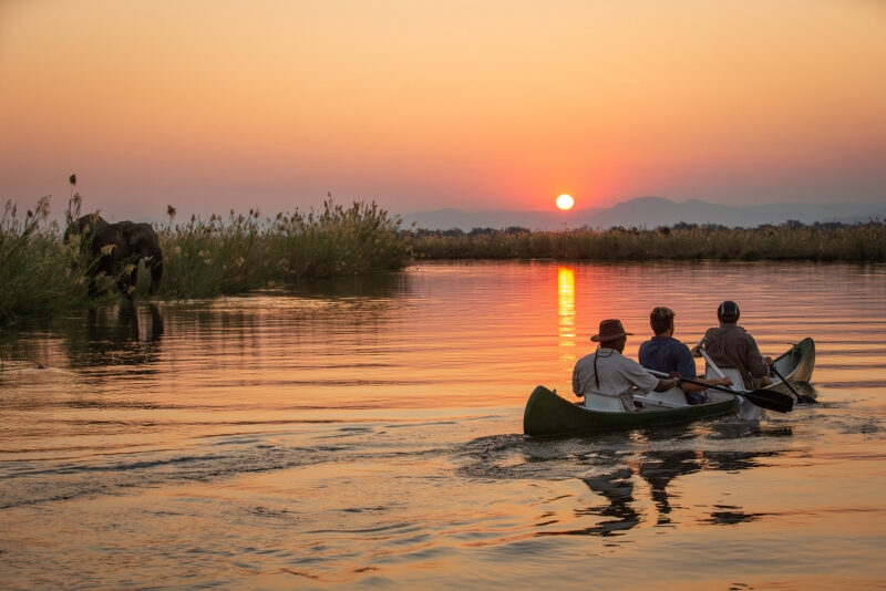 Three people in a canoe on a river, paddling away from an elephant on the bank during a golden sunset.