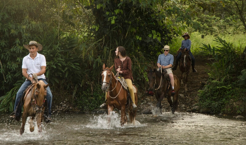 Jacada Colombia - people riding horses through a shallow river in a rainforest