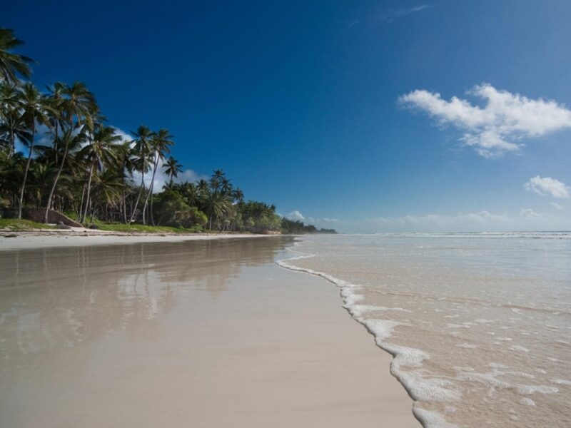 Luxury Kenya Safari Tours - a white sand beach