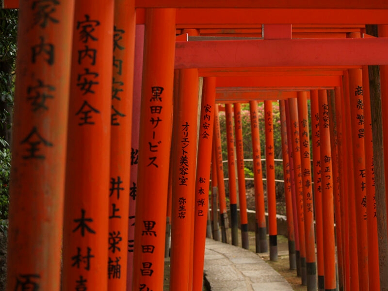Private Japan Luxury Tours - red tori gates form a long tunnel
