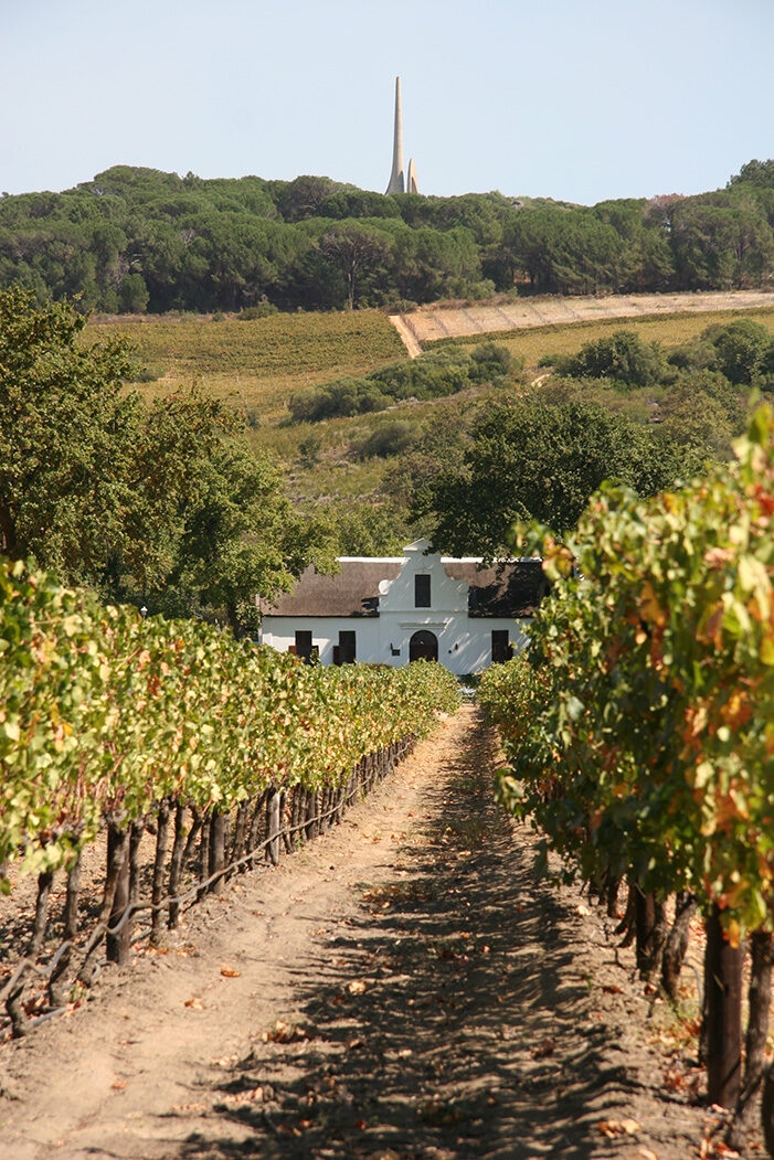 Luxury South African Safaris and Tours - Cape vineyards