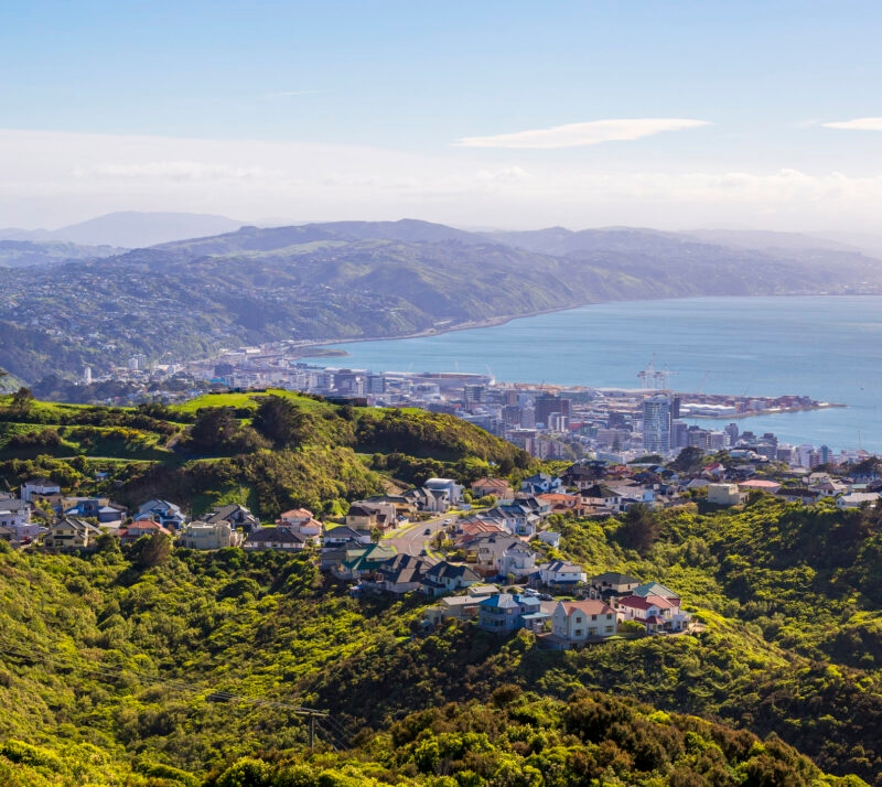 Jacada New Zealand - View of Oriental Bay in Wellington. North Island