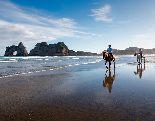 People horse riding on a reflective beach near Wharariki Beach during luxury New Zealand tours.