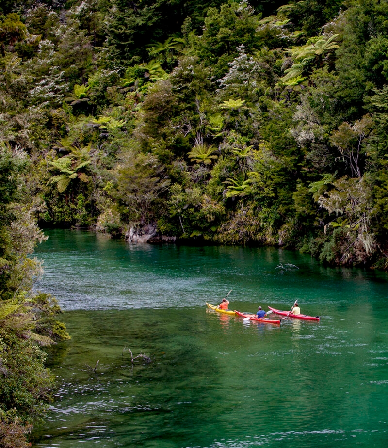 Kayakers paddling on a clear green river through a lush forest on luxury New Zealand trips.