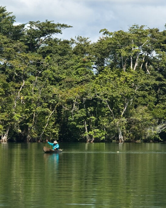 A person in a blue jacket paddles a small canoe on a placid green river, flanked by thick, towering jungle trees.