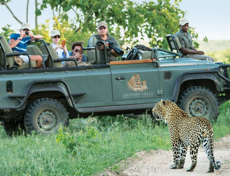 People in an open-top safari vehicle watching a spotted leopard in a grassy field.