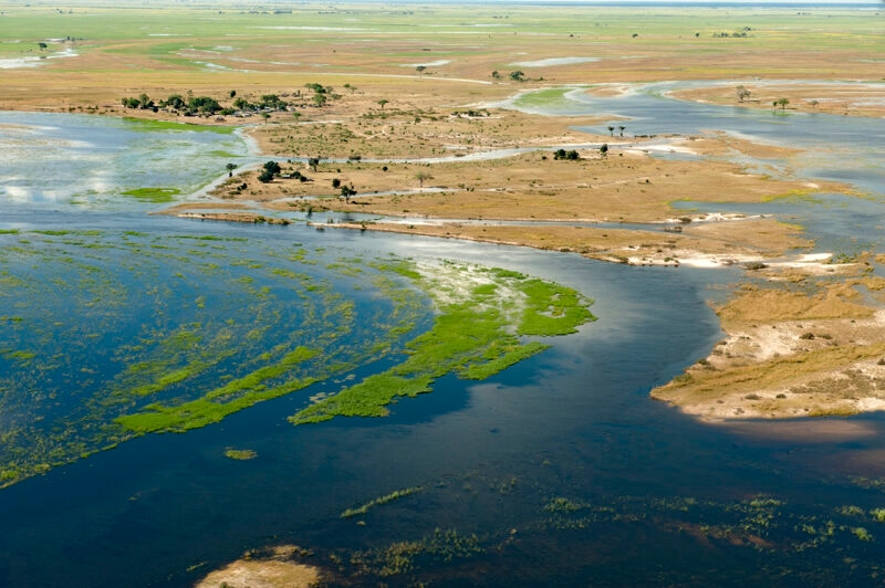 High angle view of a river delta with winding blue water channels and green marshland.