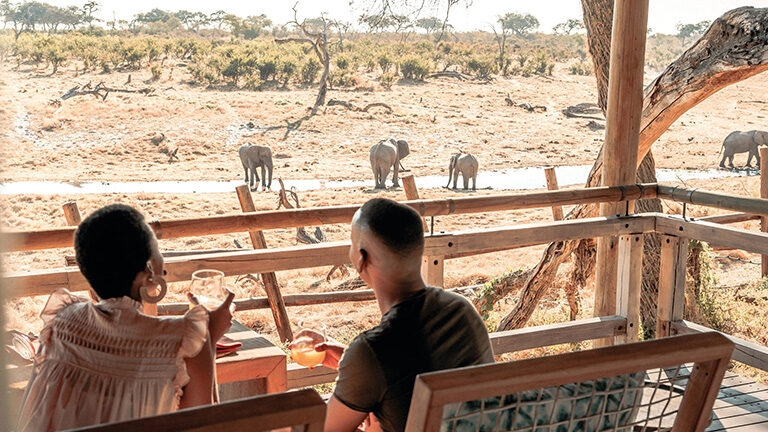 Two people seen from behind on a wooden deck watching four elephants in a dry landscape.