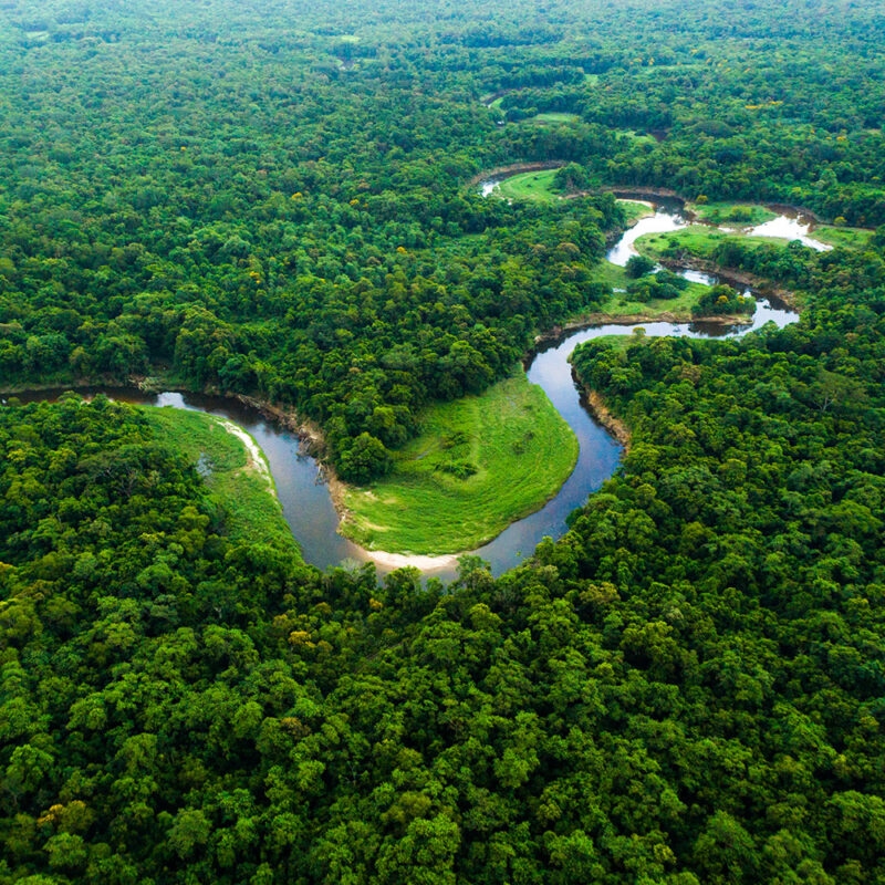 Aerial view of a winding river surrounded by the dense, vibrant green foliage of the Amazon rainforest. luxury Brazil vacations.