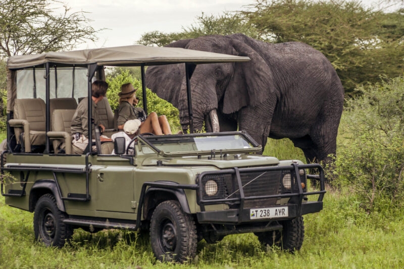 Two people in a safari truck looking at a wild, male African elephant in the Tanzanian bush on a luxury Africa vacation.