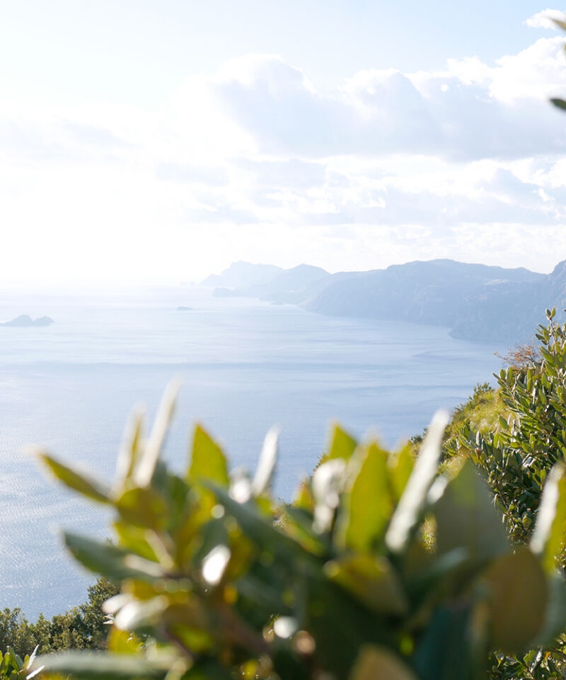 Hazy ocean view through green leaves during luxury Amalfi Coast tours.