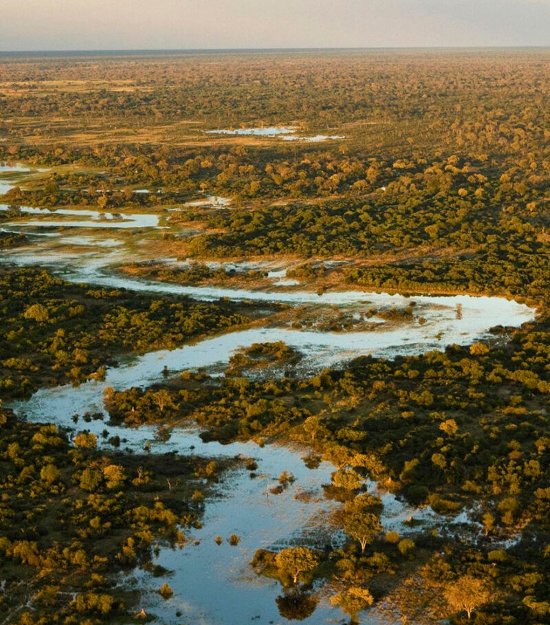Aerial view of a winding river at golden hour on luxury Okavango Delta safaris.