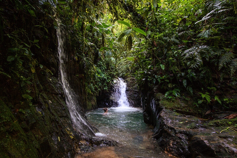 Human, Nature, Outdoors, Person, Plant, River, Vegetation, Water, Waterfall