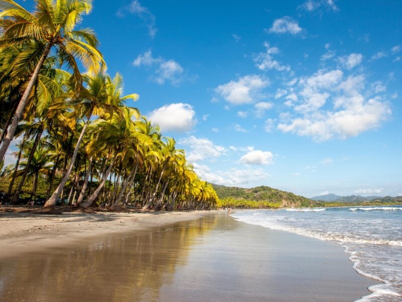 White sandy beach lined with palm trees in Costa Rica