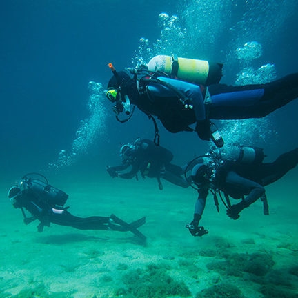 A group of four people scuba diving along the bottom of a sandy reef
