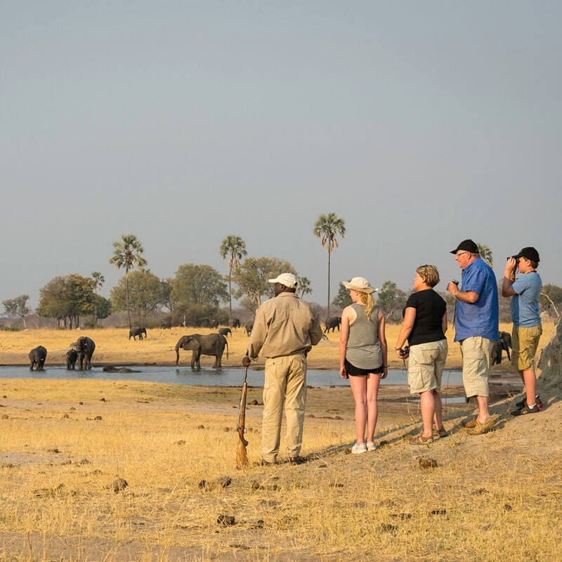 A family on safari watching elephants around a watering hole
