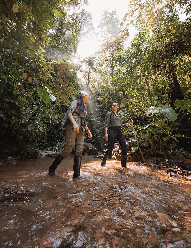 People walking through shallow water in a rainforest