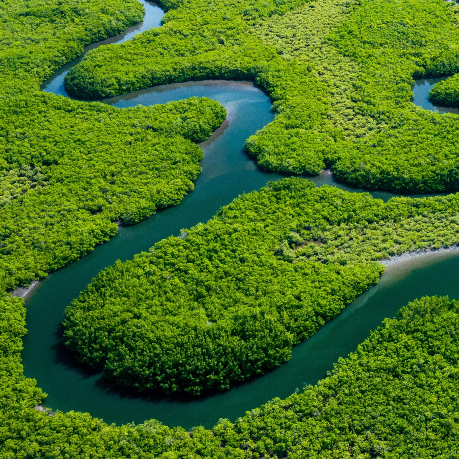 Amazon River, Brazil preview image
