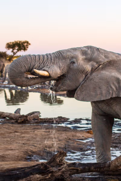 First Time Safari Adventure