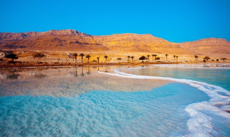 Landscape of the Dead Sea with crystalline salt formations in the foreground, clear blue water, palm trees, and tan mountains.