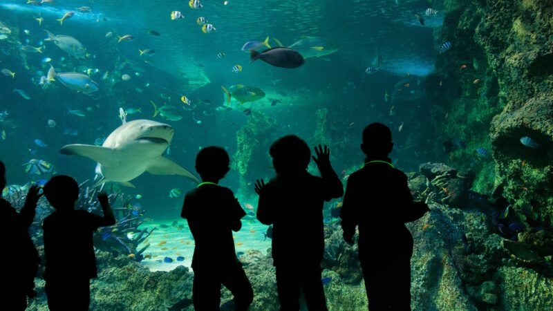 Rear view of family walking together on the beach with the Gold Coast city skyline in the background