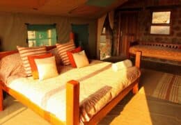 Ant's Nest and Bush Lodge