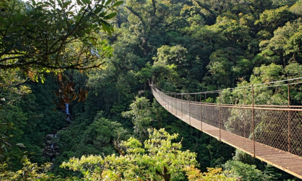 A wooden suspension bridge extending over a lush green forest valley with a waterfall visible in the distance.